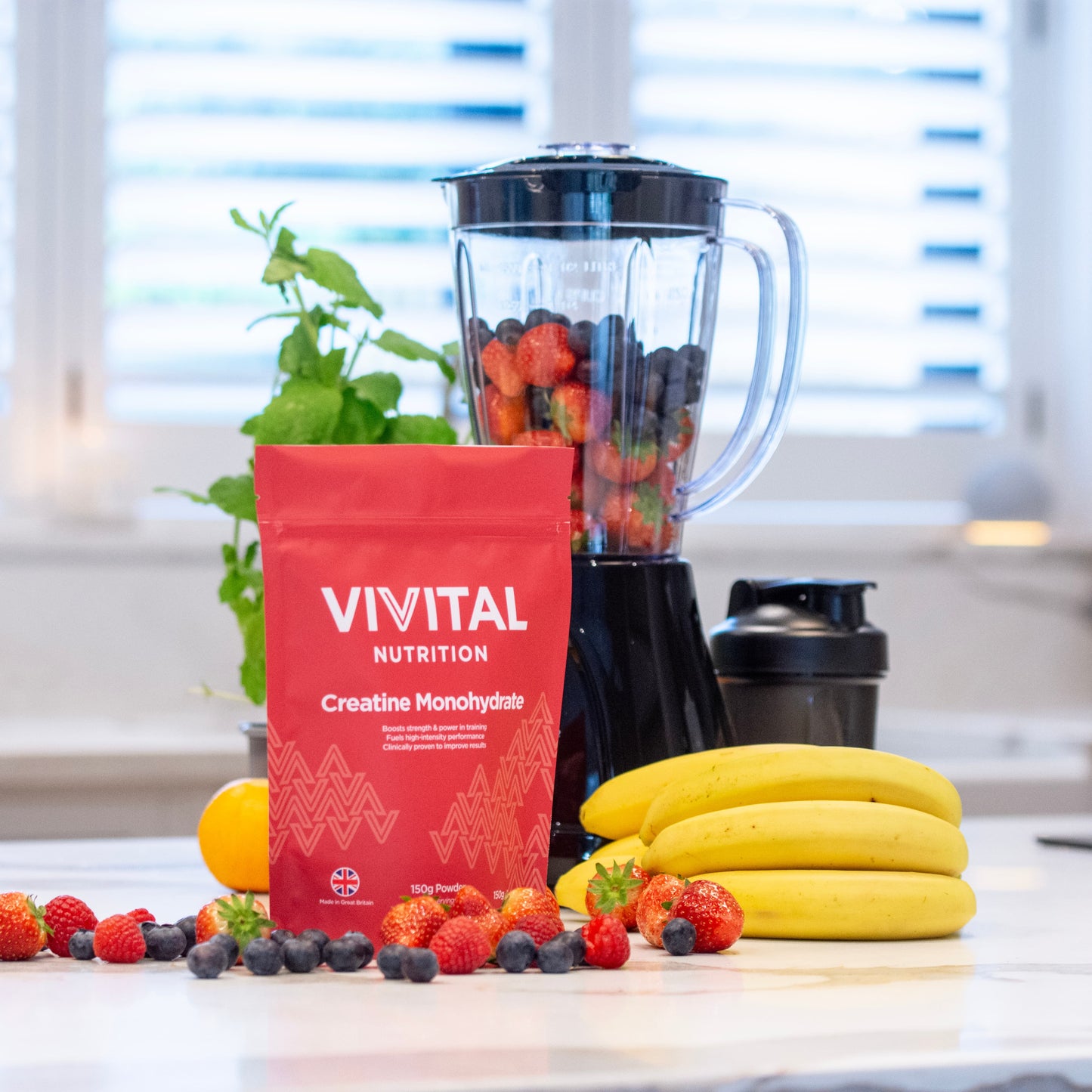 Creatine Monohydrate